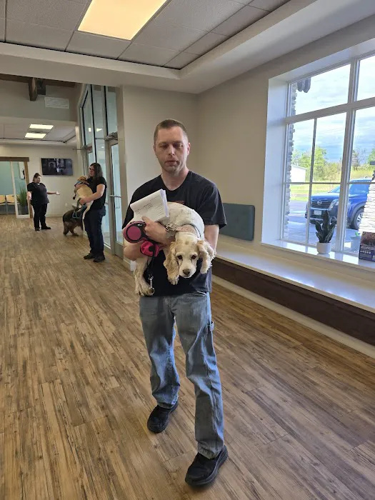 Highland Animal Hospital Picture 7