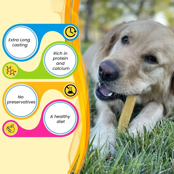 Lifevio Picture 5