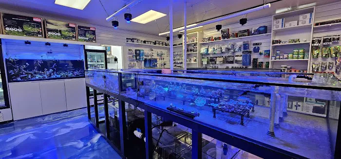 Fishy Business Picture 9
