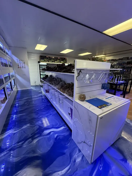 Fishy Business Picture 4