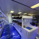 Fishy Business