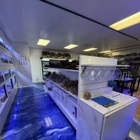 Fishy Business ico