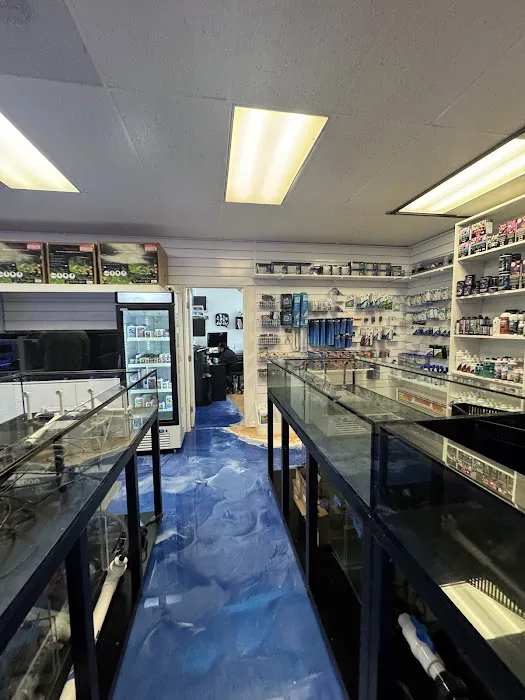 Fishy Business Picture 8