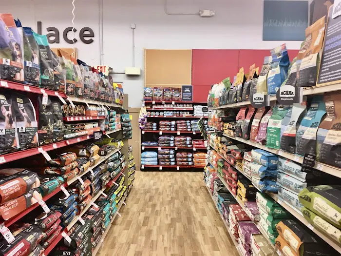 Petco Picture 2