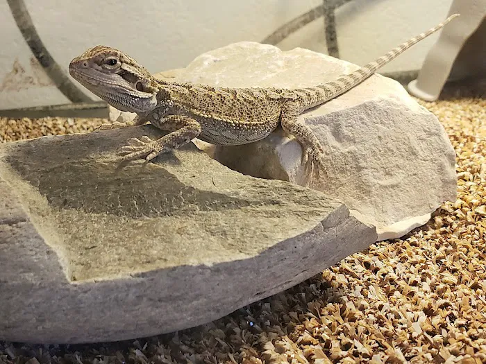 Petco Picture 10