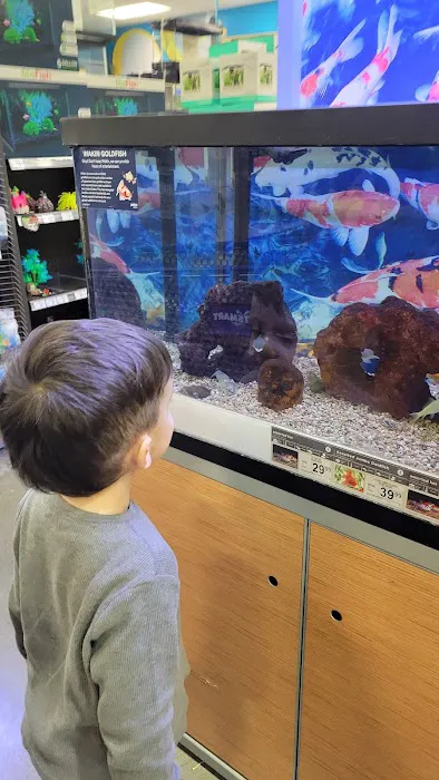 Petco Picture 6