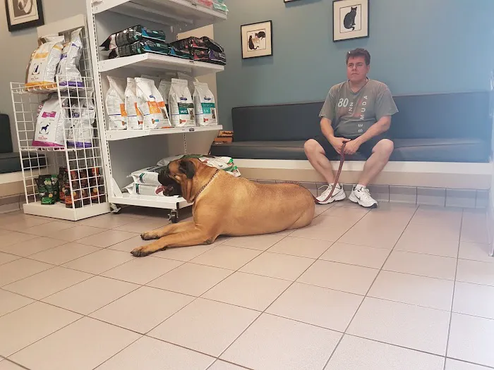 Glastonbury Animal Hospital Picture 2