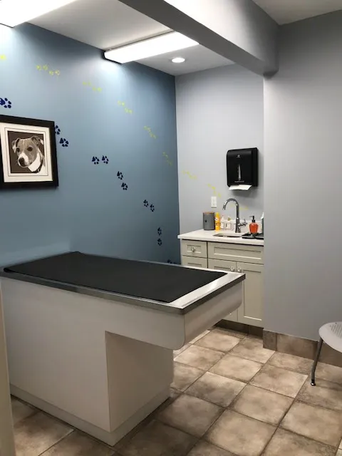 Glastonbury Animal Hospital Picture 1