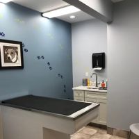 Glastonbury Animal Hospital ico