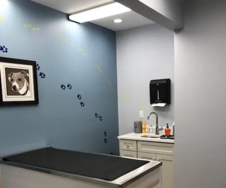 Glastonbury Animal Hospital