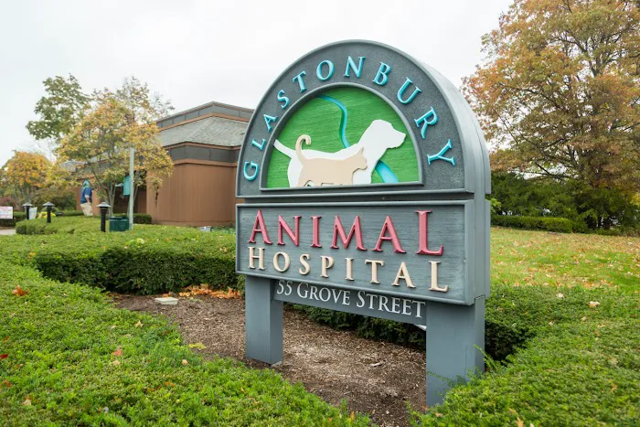 Glastonbury Animal Hospital Picture 3