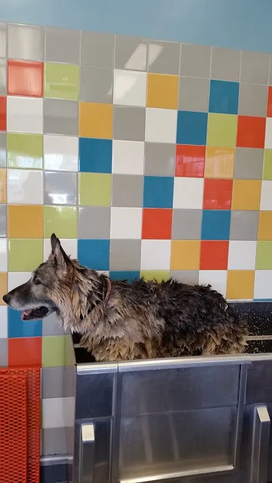 Unleashed by Petco Picture 6