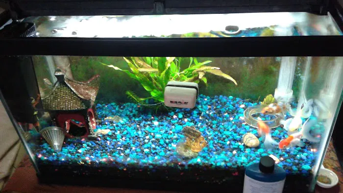 Caesar's Tropical Fish Factory Picture 1