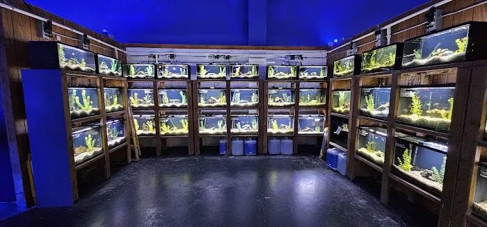 Caesar's Tropical Fish Factory Picture 3