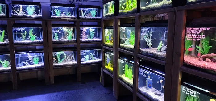Caesar's Tropical Fish Factory Picture 6