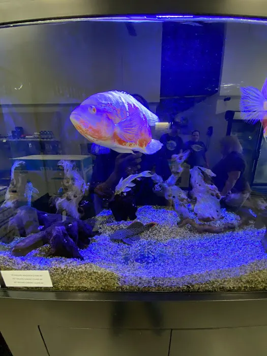 Caesar's Tropical Fish Factory Picture 10