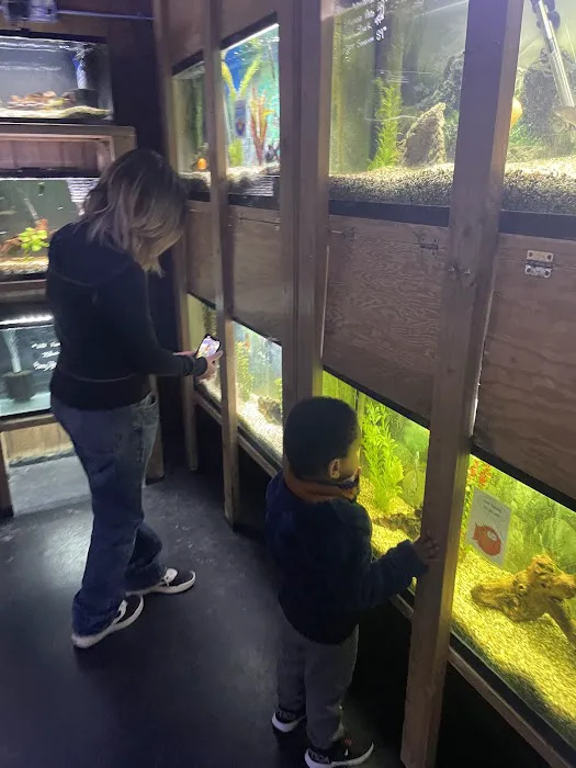 Caesar's Tropical Fish Factory Picture 7