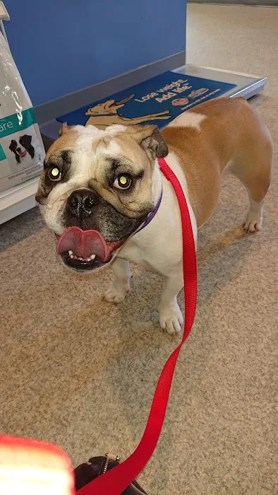Cobalt Veterinary Clinic Picture 2