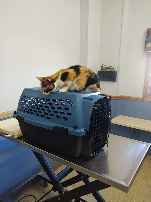 Cobalt Veterinary Clinic Picture 5