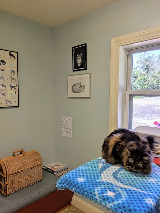 Higganum Veterinary Clinic Picture 4