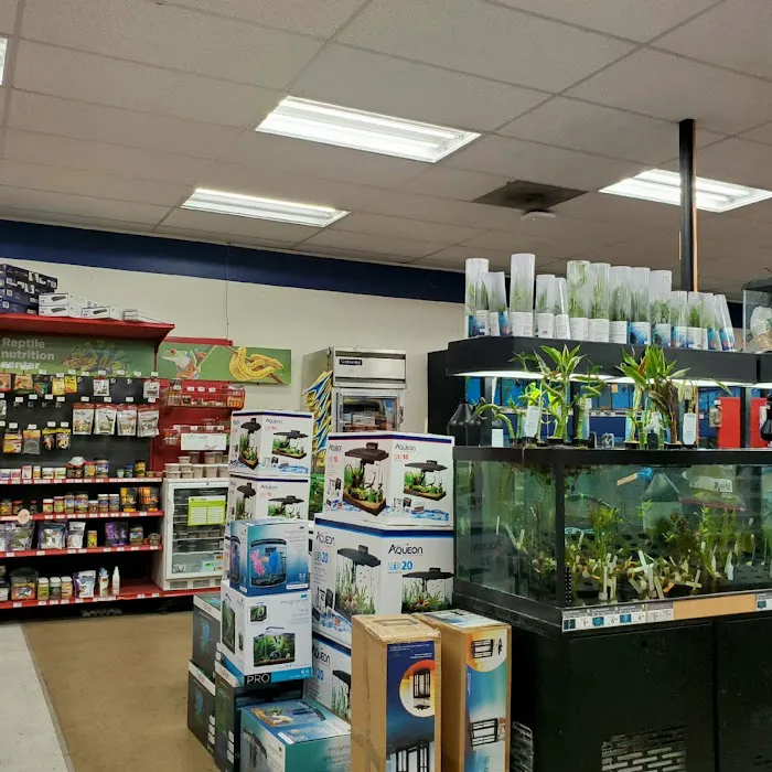 Petco Picture 8