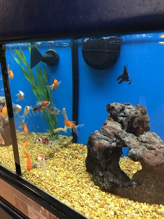 Petco Picture 4
