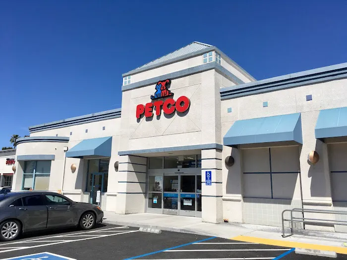 Petco Picture 7