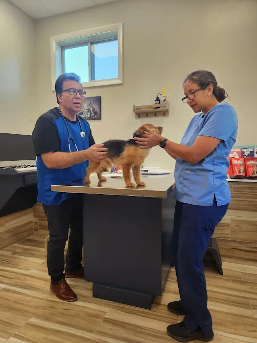 Durham Veterinary Hospital Picture 2