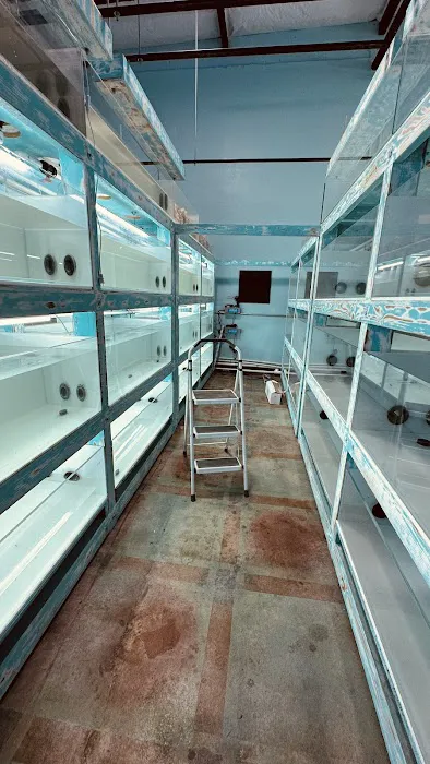 Violet Aquarium LLC Picture 2