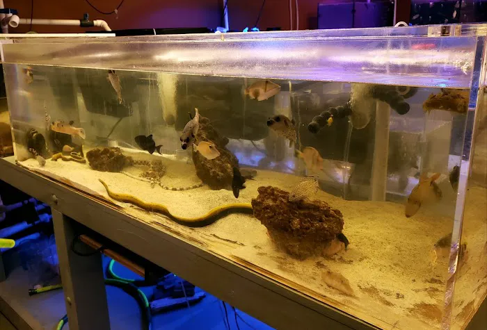 Violet Aquarium LLC Picture 1