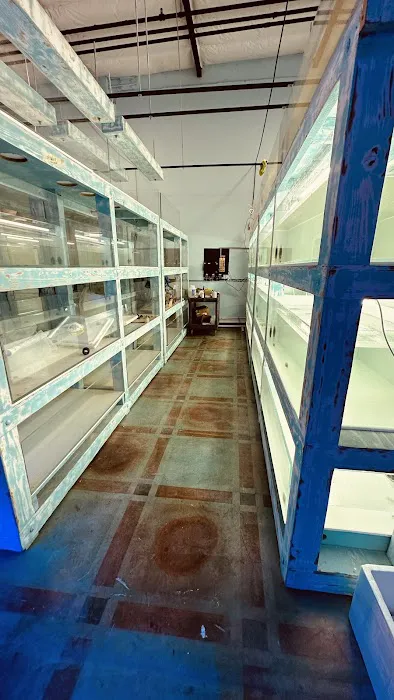 Violet Aquarium LLC Picture 3