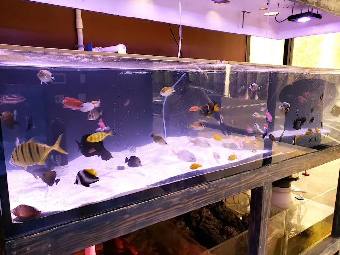 Violet Aquarium LLC Picture 6