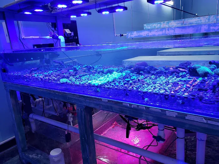 Violet Aquarium LLC Picture 5