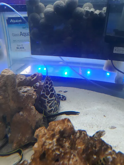 Violet Aquarium LLC Picture 8