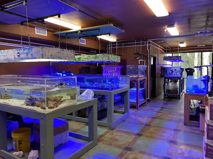 Violet Aquarium LLC Picture 9