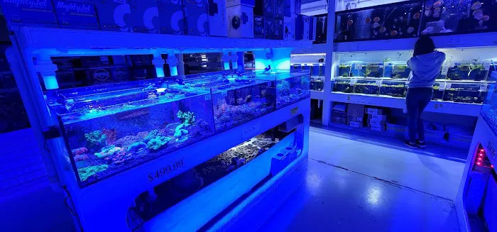 Neptune Aquatics Picture 3
