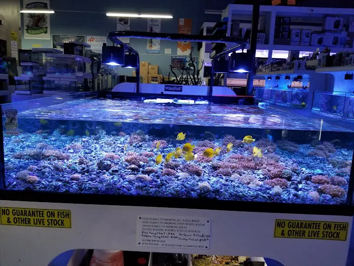 Neptune Aquatics Picture 1
