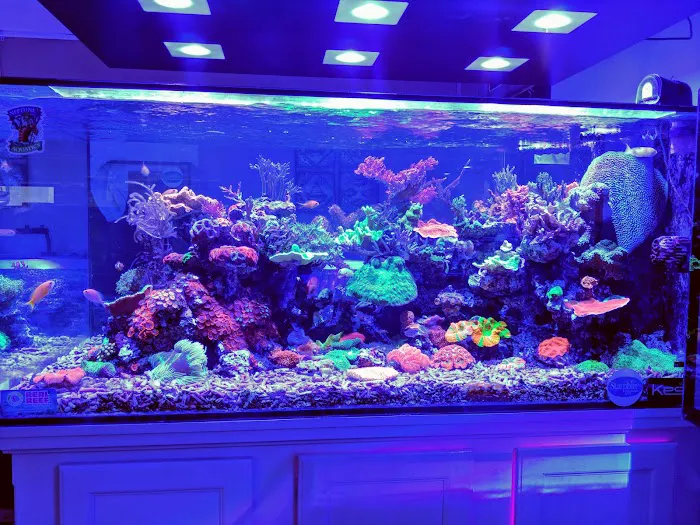 Neptune Aquatics Picture 4