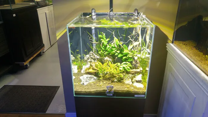 Neptune Aquatics Picture 6
