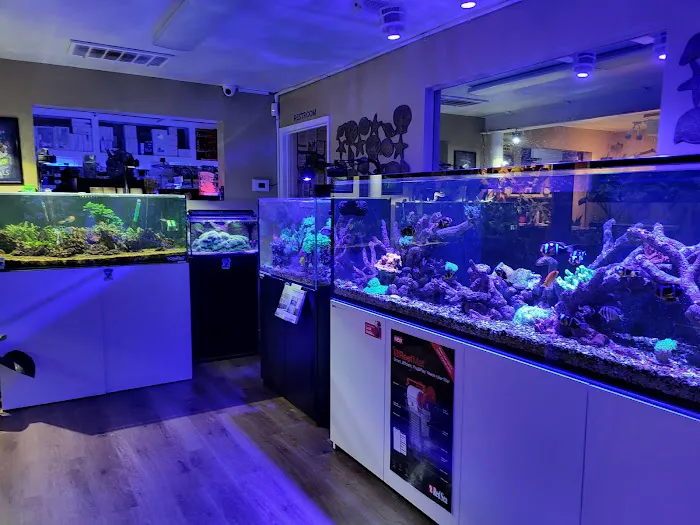 Neptune Aquatics Picture 5