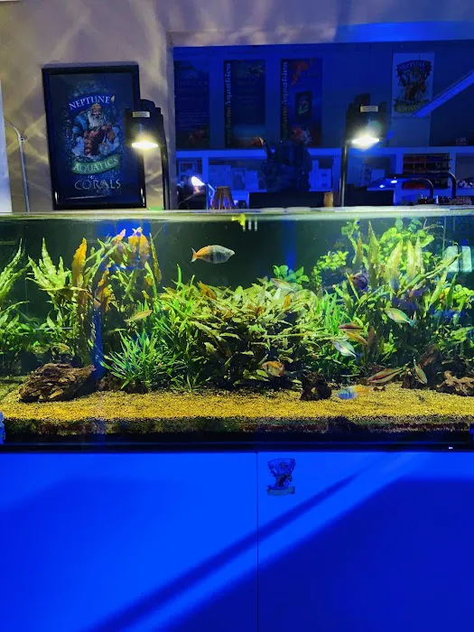 Neptune Aquatics Picture 9