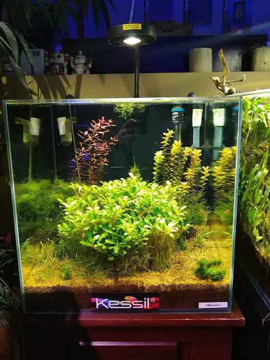 Neptune Aquatics Picture 2
