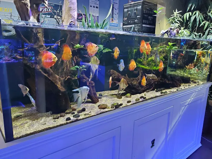 Neptune Aquatics Picture 8