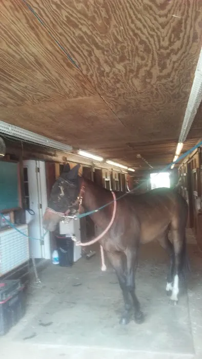 Stewart Equine Clinic Picture 1