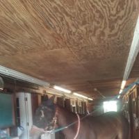 Stewart Equine Clinic ico