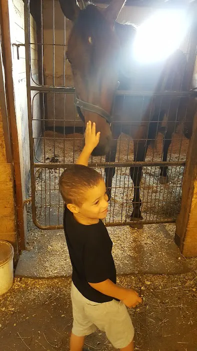 Stewart Equine Clinic Picture 8
