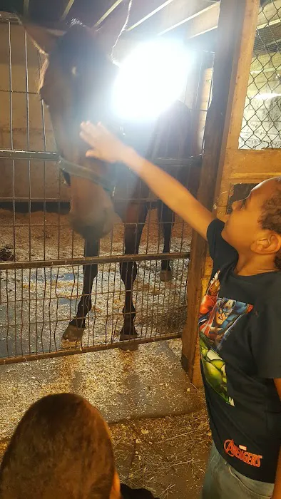 Stewart Equine Clinic Picture 6