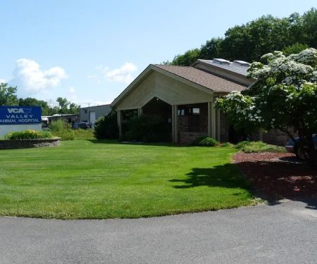 VCA Valley Animal Hospital