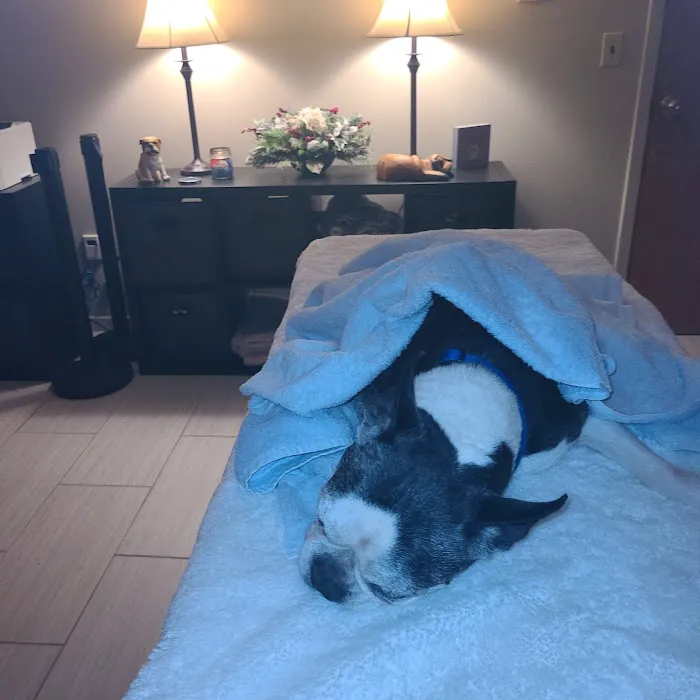 VCA Valley Animal Hospital Picture 3