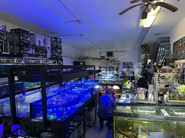 Clear Water Aquarium Picture 5